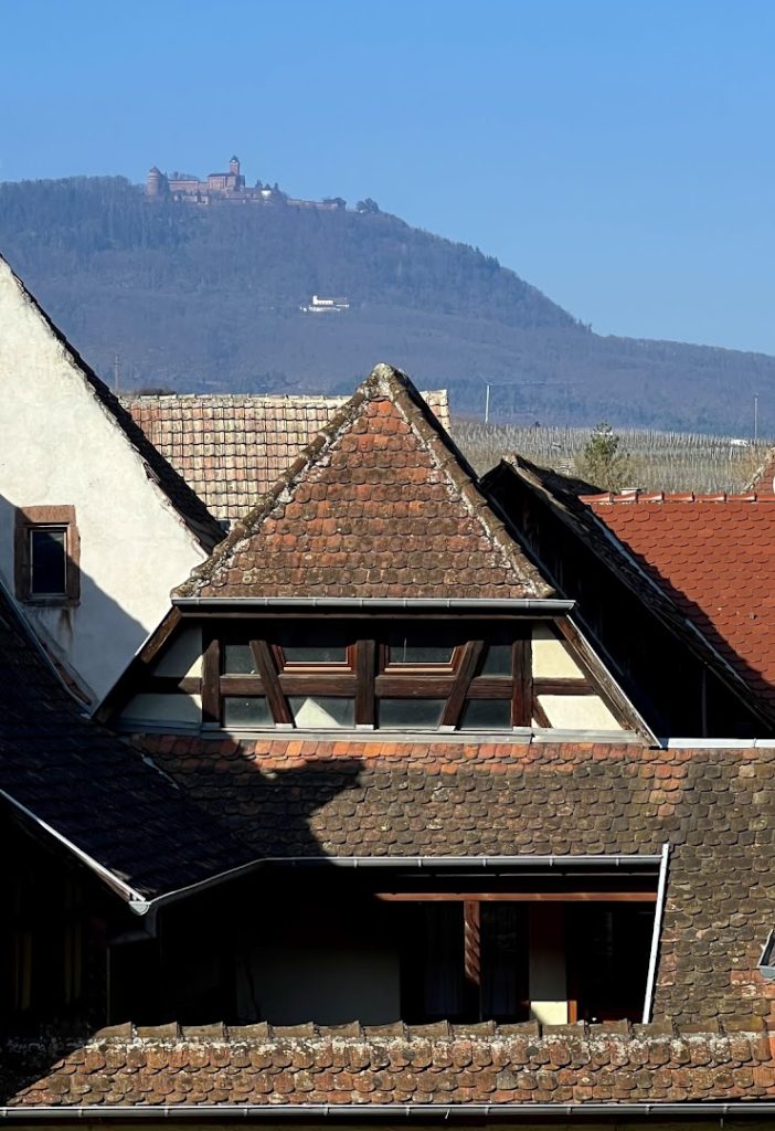 Dumoulin Christophe - Photographe à Bergheim 4 7igyhsdxsmea ssf0bjsz0ig vs0z fzbb3jnuth3edzvecb1ab7qzi oljoejplfttfngygggm0aghgibd4jknts1a3ulf9wwnvxdxi 7cyn ozmtsgkjtqygo1qgwemw1920 h1080 k no