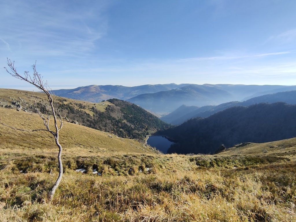 Up Imagerie - Télépilote de Drone en Alsace - Photographe à Sélestat 2 af1qipnal o36p6a0ju qlxdfga0rh vf2g3y2lbx5bqw1920 h1080 k no