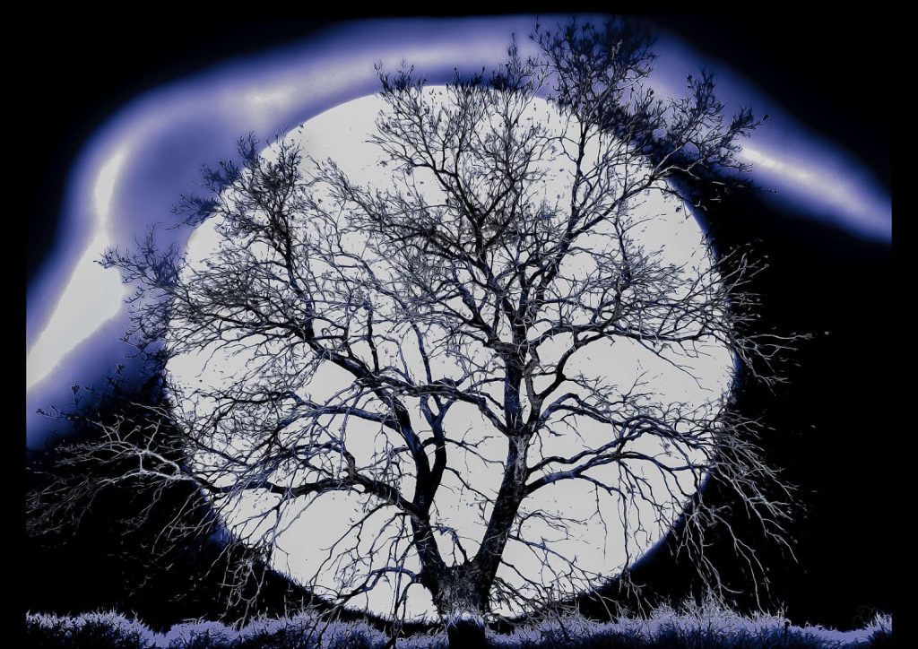 Jan Pincemaille | L'âme d'art - Artiste Peintre numérique et Poète - Photographe à Sélestat 4 af1qipnalsshvpbekgmlfztlqzjfxso8gmhwhm7udsohw1920 h1080 k no