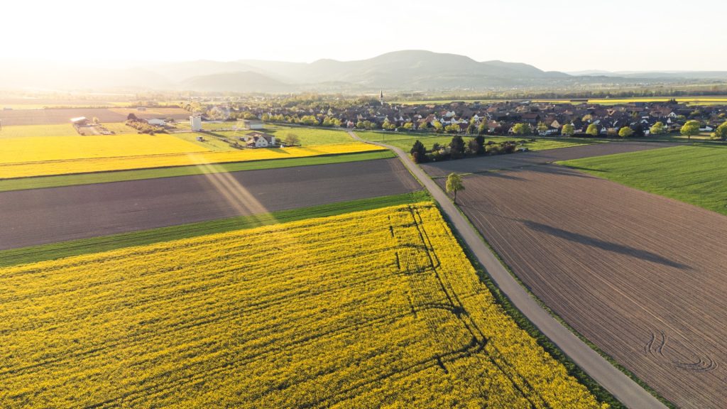 Alexandra Koeniguer | Photographe entreprise, événement, tourisme et photo d'identité ANTS - Photographe à Andlau 4 af1qipoby7m9ik33jogquswmjhjyeak5axhejq4v5c hw1920 h1080 k no
