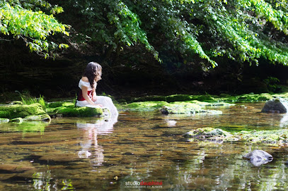 Photo de Studio Dauphiné, photographe professionnel à Dambach-la-Ville