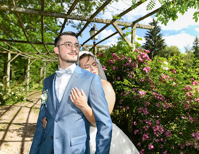 Photo de Ours Photographe, photographe professionnel à Kintzheim