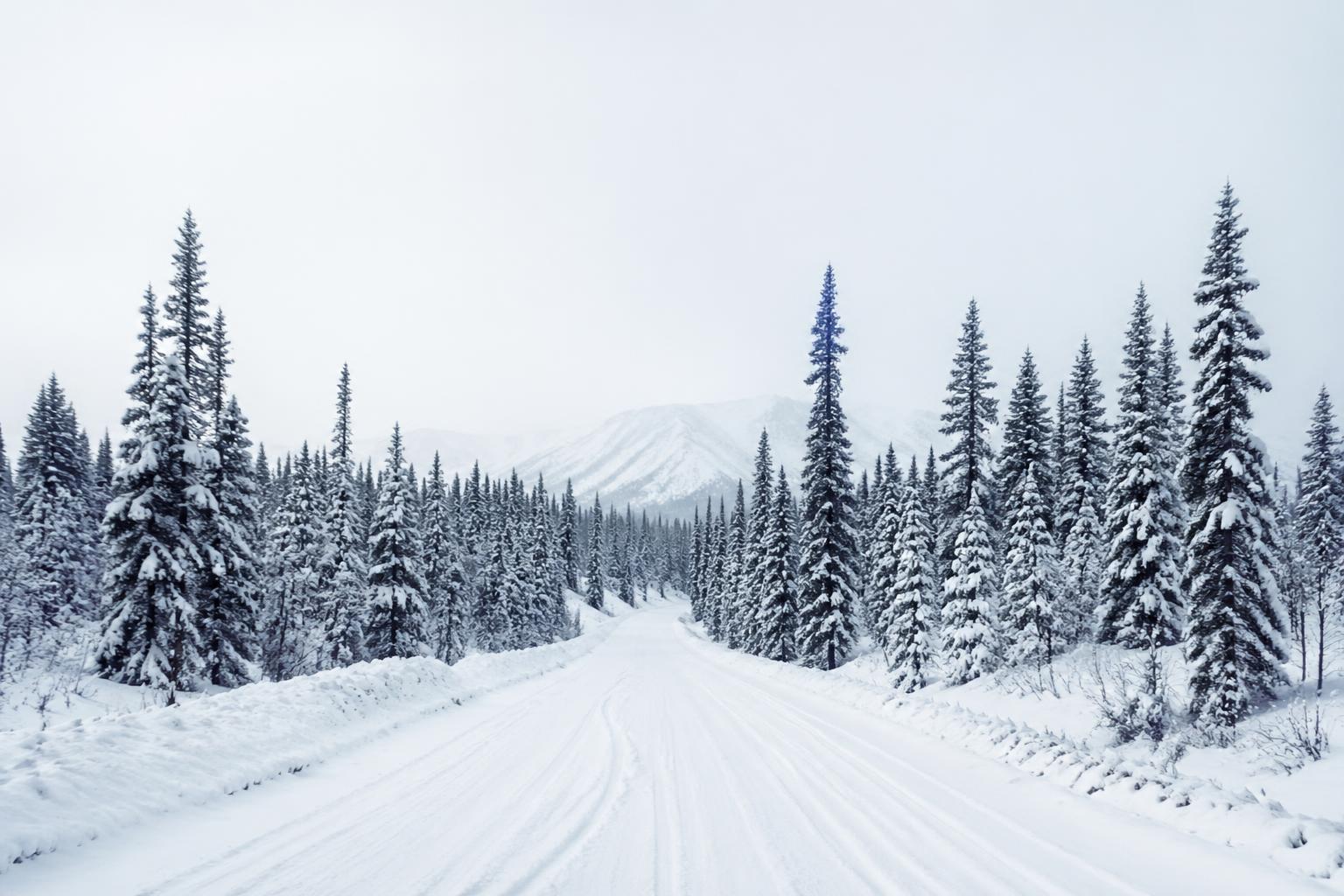 découvrez les secrets de 'sukkwan island' et explorez le cercle polaire à travers une immersion unique mêlant fiction captivante et réalité saisissante.