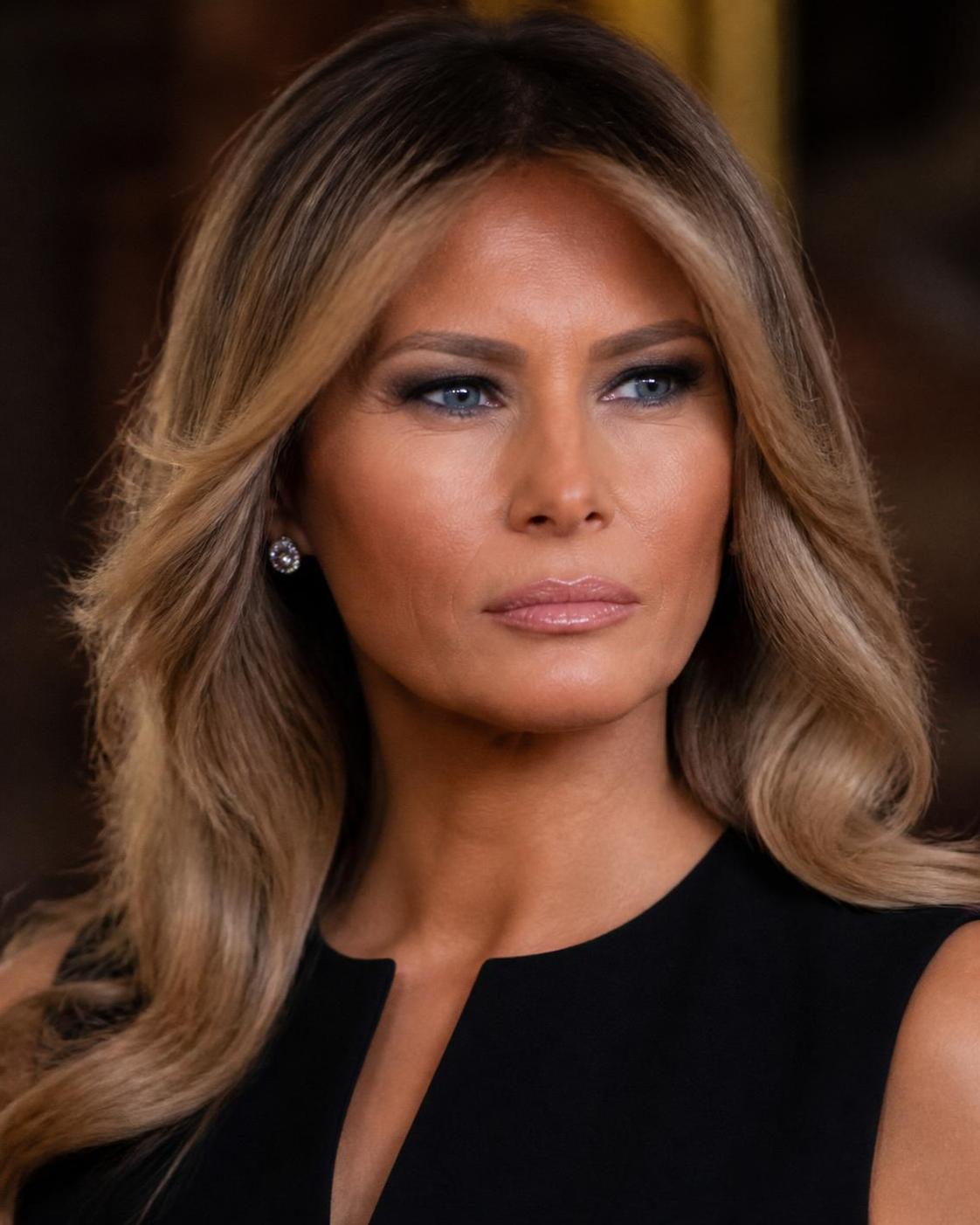 découvrez les photos audacieuses de melania trump qui refont surface, mêlant élégance sophistiquée et controverses surprenantes.