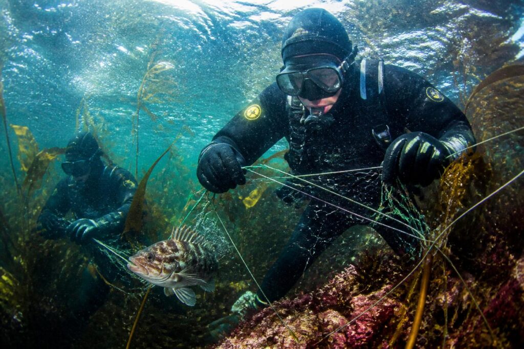 découvrez l'univers captivant des ligneurs du raz avec gaëlle de trescadec, qui saisit la vie intense et authentique au cœur de l'aventure maritime.