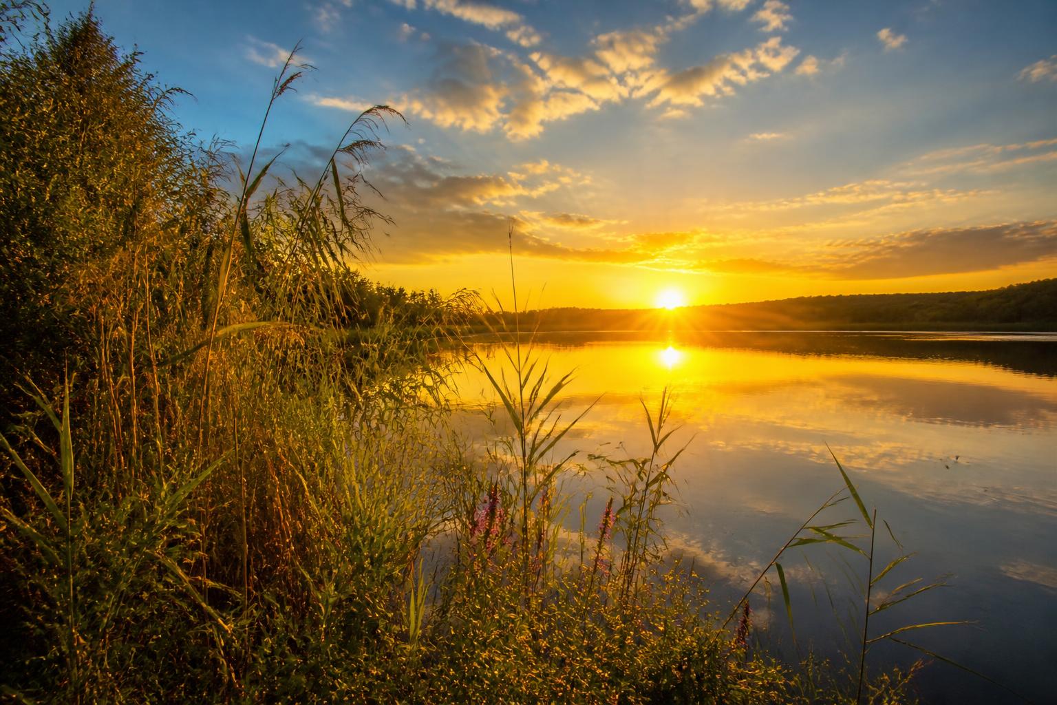 découvrez 'silences du soleil' à travers un voyage photographique exceptionnel, une plongée visuelle au cœur de paysages et moments rares à ne pas manquer.