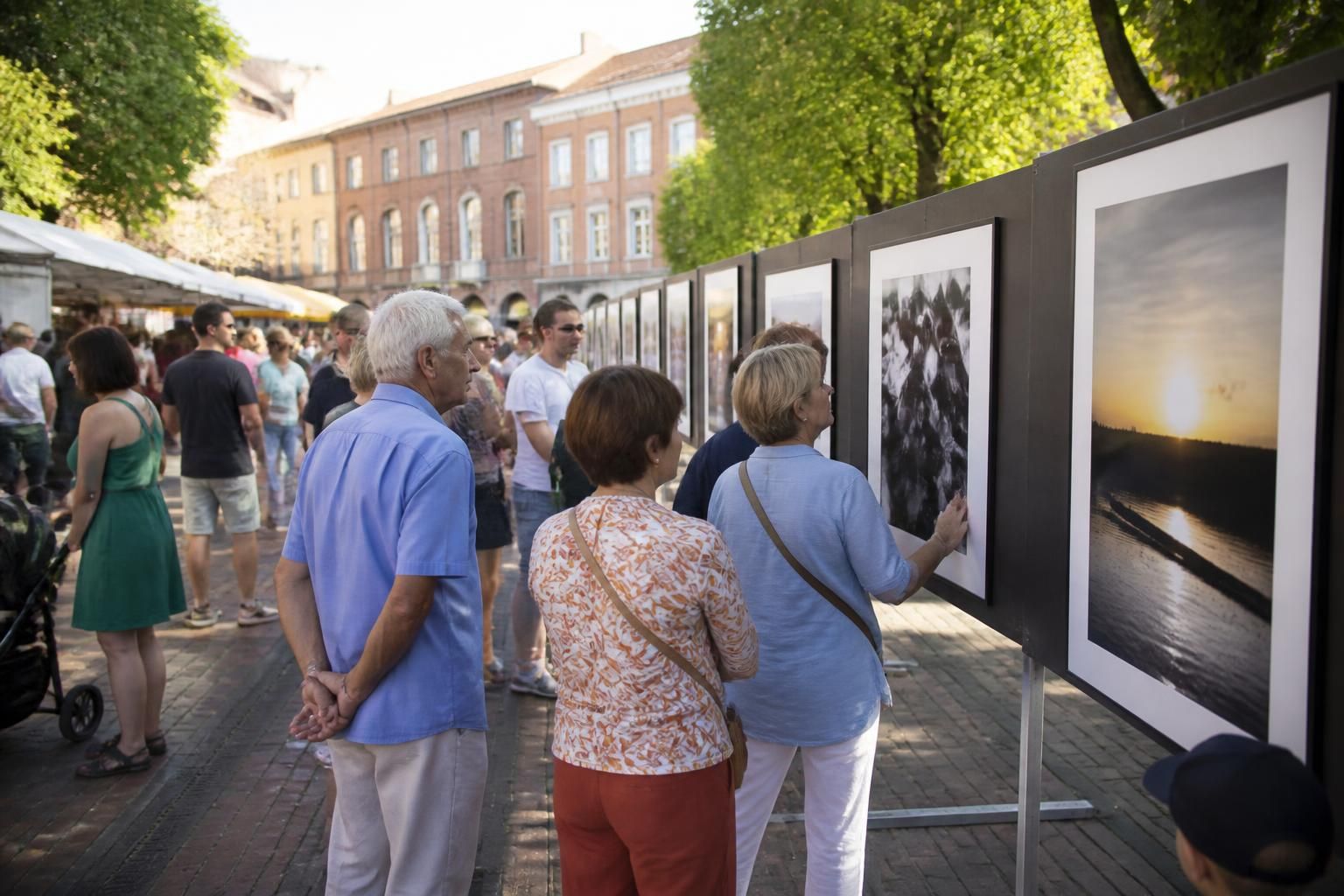 découvrez un hommage photographique émouvant rendu à claude galaup à montauban, célébrant son talent et son héritage artistique.