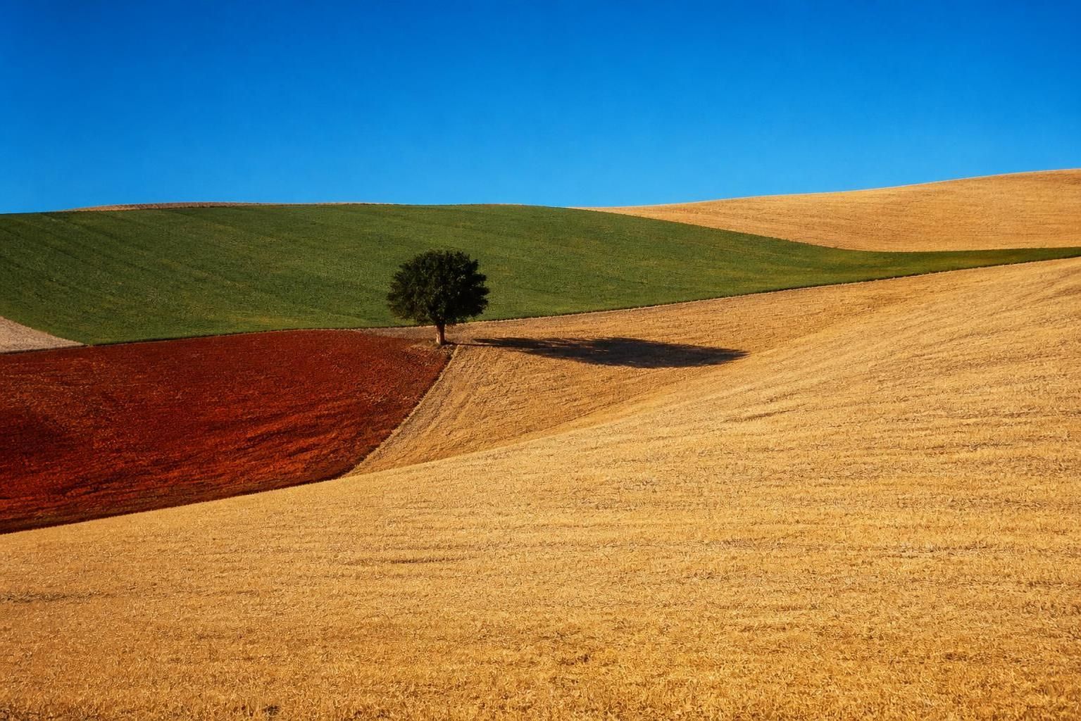 décès à 92 ans de franco fontana, photographe italien emblématique, connu pour ses œuvres innovantes en photographie couleur qui ont marqué l'histoire de l'art visuel.