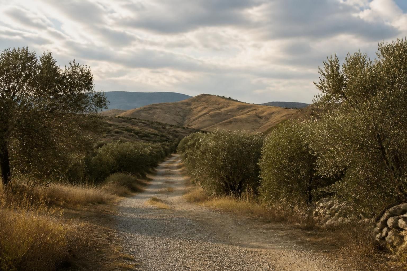 découvrez les gagnants du concours photo célébrant l'héritage de jean giono et plongez dans des images inspirantes qui rendent hommage à son œuvre.