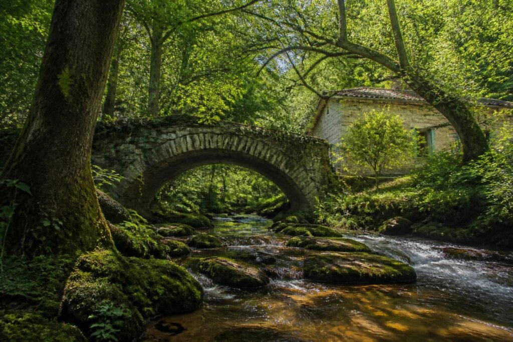 découvrez l'exposition de photographies de maurice schlienger, une plongée visuelle unique au cœur de grosne, capturant paysages et émotions avec authenticité.