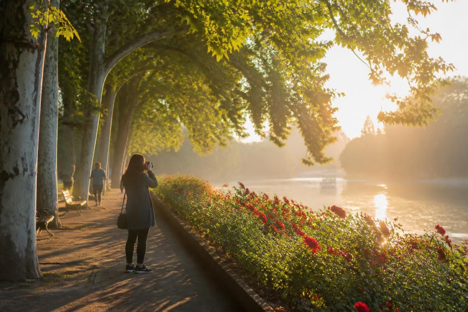 Lyon : Entre photographie au parc de la Tête d'Or, luttes contre les violences sexistes et sexuelles, et controverses autour de l'abattage des platanes 11 découvrez les enjeux actuels à lyon : une exploration photographique au parc de la tête d'or, les luttes contre les violences sexistes et sexuelles, ainsi que les débats passionnés autour de l'abattage des platanes.