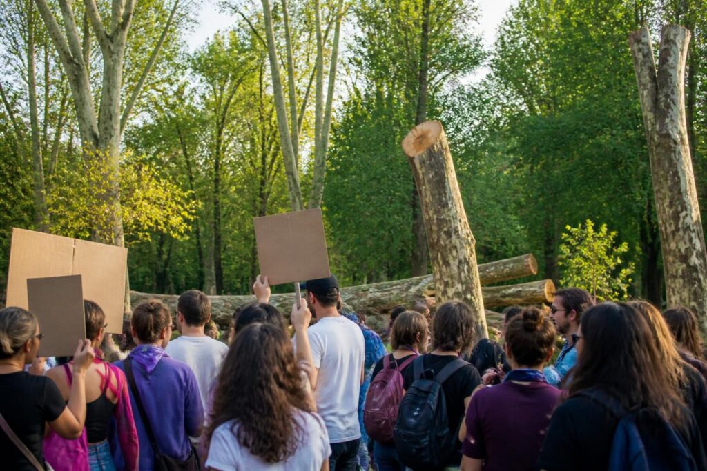 découvrez les multiples enjeux à lyon : entre la beauté de la photographie au parc de la tête d'or, les actions contre les violences sexistes et sexuelles, et les débats passionnés sur l'abattage des platanes.