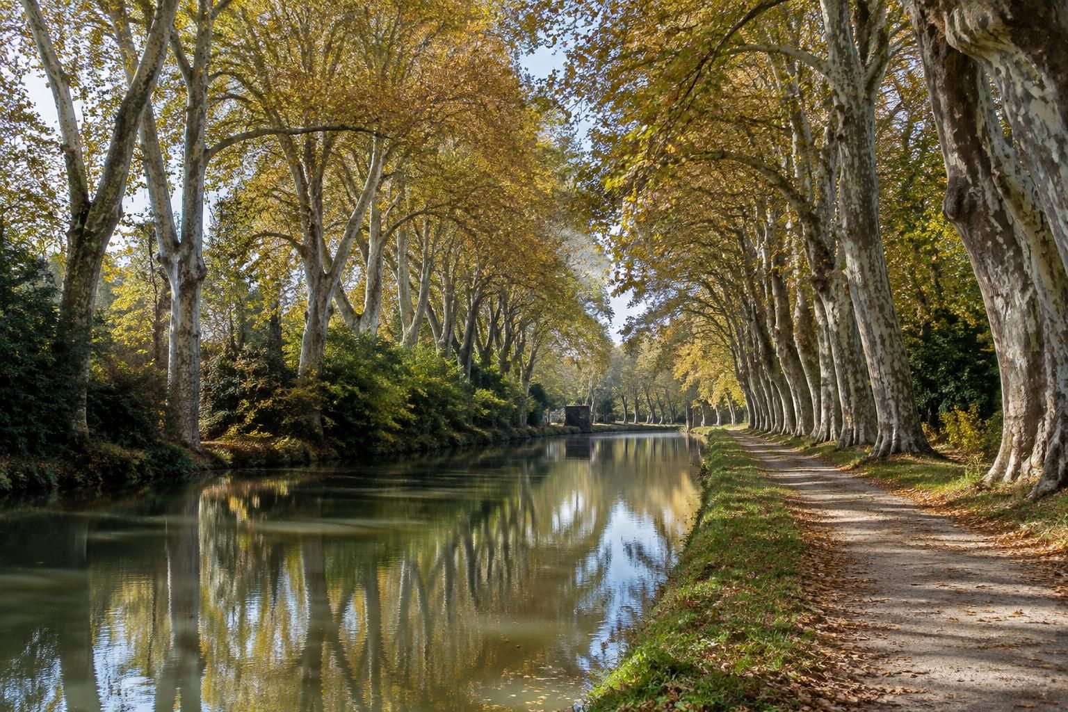 à Colomiers, le Pavillon blanc invite les paysages à prendre de la profondeur 11 à colomiers, le pavillon blanc propose une invitation à explorer les paysages autrement et à en révéler toute la profondeur.
