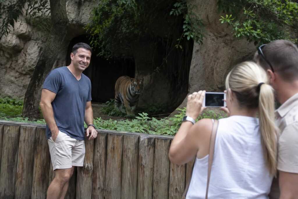 avant d’entrer dans l’enclos d’un tigre, un homme demande à un couple de le photographier. quelques instants plus tard, l’animal l’attaque mortellement.